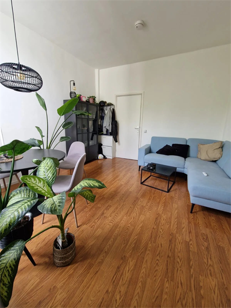 studio in Breda